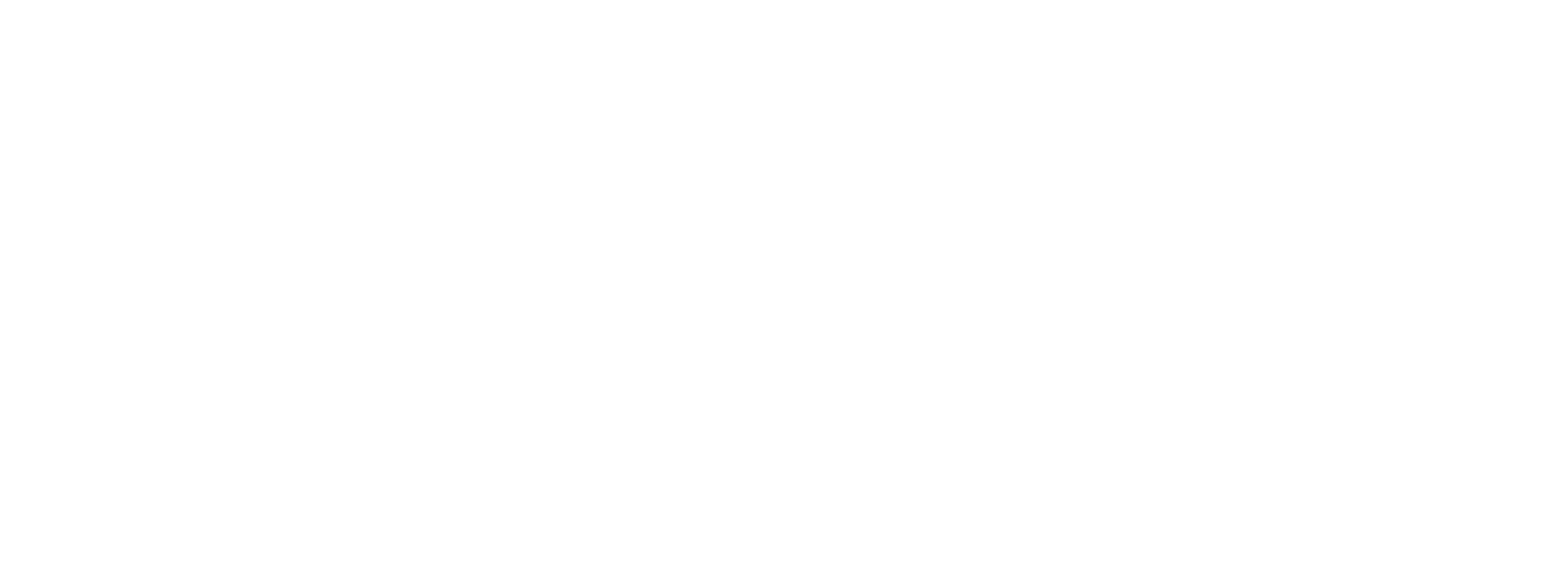 partner-carrier